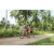Team 22 / Raid Amazones Sri Lanka 2023 - J3 Bike - Run