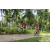 Team 319 / Raid Amazones Sri Lanka 2023 - J3 Bike - Run