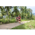Team 20 / Raid Amazones Sri Lanka 2023 - J3 Bike - Run