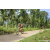 Team 89 / Raid Amazones Sri Lanka 2023 - J3 Bike - Run