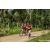 Team 87 / Raid Amazones Sri Lanka 2023 - J3 Bike - Run