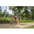 Team 04 / Raid Amazones Sri Lanka 2023 - J3 Bike - Run