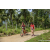 Team 09 / Raid Amazones Sri Lanka 2023 - J3 Bike - Run