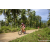 Team 47 / Raid Amazones Sri Lanka 2023 - J3 Bike - Run