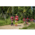Team 52 / Raid Amazones Sri Lanka 2023 - J3 Bike - Run