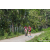 Team 53 / Raid Amazones Sri Lanka 2023 - J3 Bike - Run