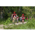 Team 303 / Raid Amazones Sri Lanka 2023 - J3 Bike - Run
