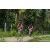 Team 319 / Raid Amazones Sri Lanka 2023 - J3 Bike - Run