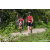 Team 321 / Raid Amazones Sri Lanka 2023 - J3 Bike - Run