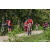 Team 315 / Raid Amazones Sri Lanka 2023 - J3 Bike - Run
