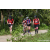 Team 48 / Raid Amazones Sri Lanka 2023 - J3 Bike - Run