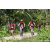 Team 323 / Raid Amazones Sri Lanka 2023 - J3 Bike - Run