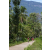 Team 89 / Raid Amazones Sri Lanka 2023 - J3 Bike - Run