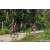 Team 89 / Raid Amazones Sri Lanka 2023 - J3 Bike - Run