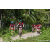 Team 51 / Raid Amazones Sri Lanka 2023 - J3 Bike - Run