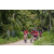 Team 71 / Raid Amazones Sri Lanka 2023 - J3 Bike - Run