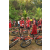 Team 67 / Raid Amazones Sri Lanka 2023 - J3 Bike - Run