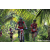 Team 07 / Raid Amazones Sri Lanka 2023 - J3 Bike - Run