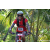 Team 41 / Raid Amazones Sri Lanka 2023 - J3 Bike - Run