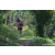 Team 310 / Raid Amazones Sri Lanka 2023 - J3 Bike - Run