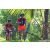 Team 304 / Raid Amazones Sri Lanka 2023 - J3 Bike - Run