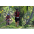 Team 05 / Raid Amazones Sri Lanka 2023 - J3 Bike - Run