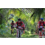 Team 88 / Raid Amazones Sri Lanka 2023 - J3 Bike - Run