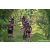 Team 315 / Raid Amazones Sri Lanka 2023 - J3 Bike - Run