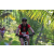 Team 315 / Raid Amazones Sri Lanka 2023 - J3 Bike - Run