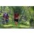 Team 27 / Raid Amazones Sri Lanka 2023 - J3 Bike - Run