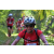 Team 336 / Raid Amazones Sri Lanka 2023 - J3 Bike - Run