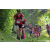 Team 79 / Raid Amazones Sri Lanka 2023 - J3 Bike - Run