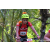Team 39 / Raid Amazones Sri Lanka 2023 - J3 Bike - Run