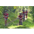 Team 32 / Raid Amazones Sri Lanka 2023 - J3 Bike - Run