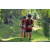 Team 04 / Raid Amazones Sri Lanka 2023 - J3 Bike - Run