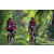 Team 52 / Raid Amazones Sri Lanka 2023 - J3 Bike - Run