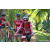 Team 71 / Raid Amazones Sri Lanka 2023 - J3 Bike - Run
