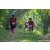 Team 37 / Raid Amazones Sri Lanka 2023 - J3 Bike - Run