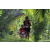 Team 09 / Raid Amazones Sri Lanka 2023 - J3 Bike - Run
