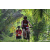 Team 19 / Raid Amazones Sri Lanka 2023 - J3 Bike - Run