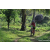 Team 34 / Raid Amazones Sri Lanka 2023 - J3 Bike - Run