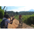 Team 313 / Raid Amazones Sri Lanka 2023 - J3 Bike - Run