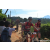 Team 313 / Raid Amazones Sri Lanka 2023 - J3 Bike - Run