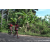 Team 307 / Raid Amazones Sri Lanka 2023 - J3 Bike - Run