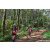 Team 11 / Raid Amazones Sri Lanka 2023 - J3 Bike - Run