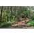 Team 74 / Raid Amazones Sri Lanka 2023 - J3 Bike - Run