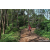 Team 13 / Raid Amazones Sri Lanka 2023 - J3 Bike - Run