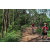 Team 13 / Raid Amazones Sri Lanka 2023 - J3 Bike - Run