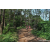 Team 38 / Raid Amazones Sri Lanka 2023 - J3 Bike - Run