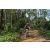 Team 68 / Raid Amazones Sri Lanka 2023 - J3 Bike - Run